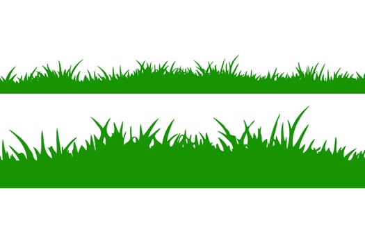 Two horizontal green grass silhouettes with varying blade shapes on a plain white background, representing natural lawn elements vector