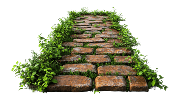 Green pathway lined with stones and grass details png