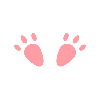 Flat Bunny Feet icon png