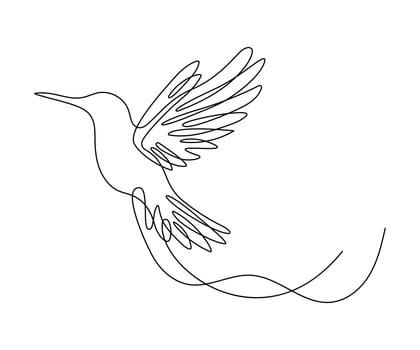 Hummingbird continuous one line drawing on a white isolated background. vector