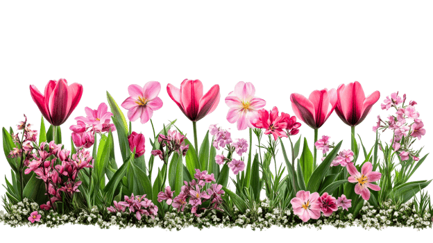 Pink Flower Border Isolated Arrangement, cut out transparent png
