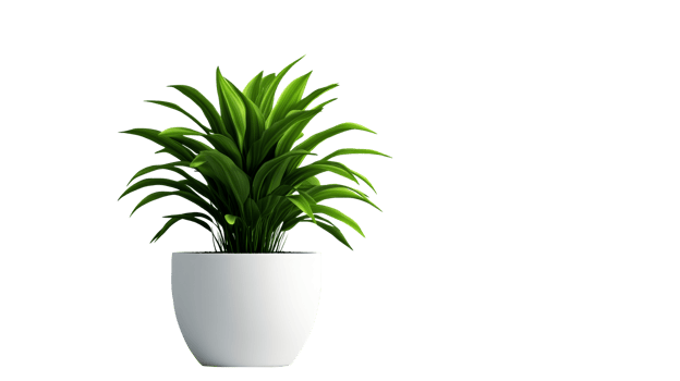 A vibrant green plant grows in a sleek white pot png