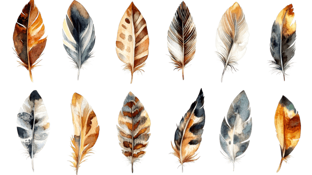 Watercolor feathers collection on black, cut out transparent png