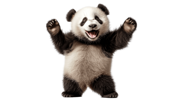 Joyful Panda Cub Posing Upright, cut out transparent png
