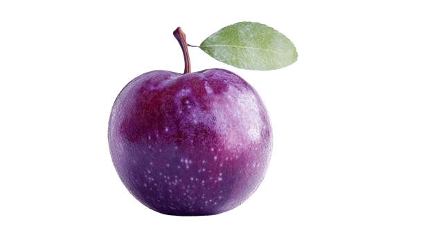 Fresh purple plum with leaf, cut out transparent png