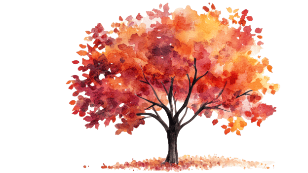 Watercolor Fall tree with red leaves, cut out transparent png