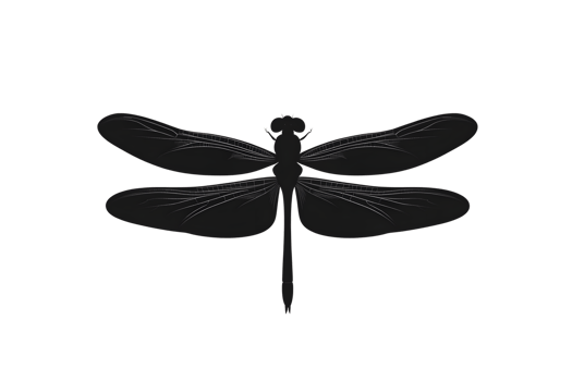 Detailed Silhouette of a Flying Insect with Transparent Wings Ideal for Nature and Wildlife De png