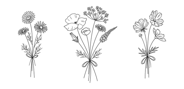 Wildflower line art bouquets set. Hand drawn chamomile, cosmea, poppy, other wild plants. Meadow flowers, herbs for design projects, illustration. vector