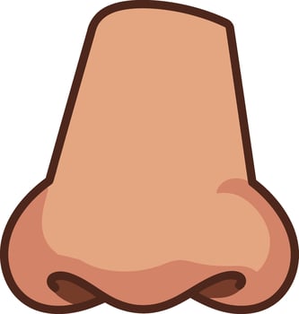 Human nose front view simple illustration for anatomy and facial feature design vector