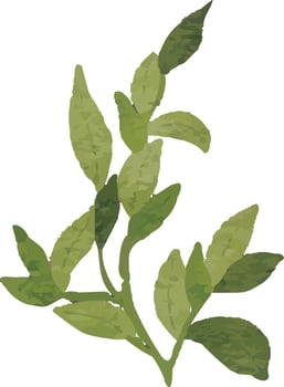 Earthy Leafy Twig Illustration vector