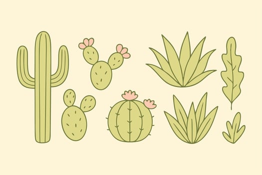 Set of cute cactus and desert plant illustrations in flat cartoon style vector