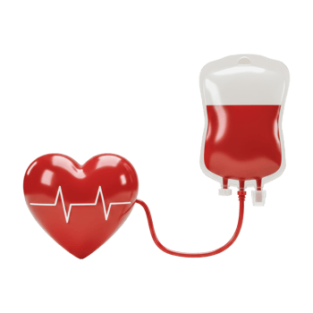 Conceptual illustration of blood donation process, showing a heart linked to a blood collection bag via a red, curving tube isolated background png