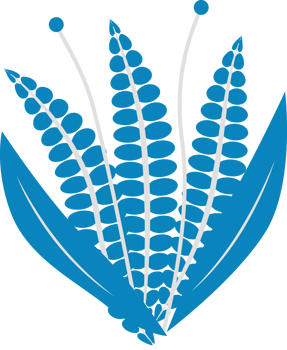 Blue leaf and branches for graphic decoration. png
