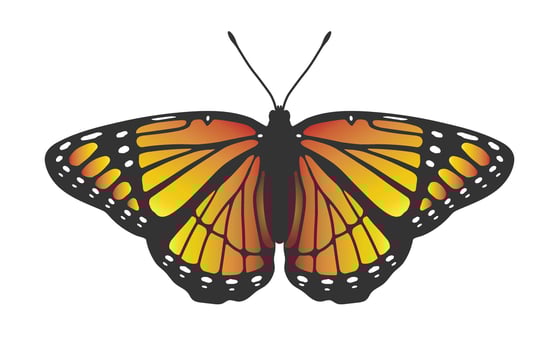 Monarch Butterfly silhouette icon symbol. Flying Butterfly moth logo sign design silhouette icon symbol. Flying Butterfly moth logo sign design. illustration image. Isolated on white background vector