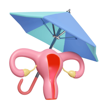 3d umbrella protecting uterus model isolated. health love, medicare concept, 3d illustration render png