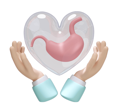3d hands holding stomach in heart transparent isolated. check stomach health concept, 3d illustration render png