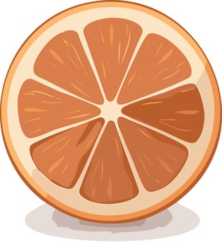 Orange slice illustration vector