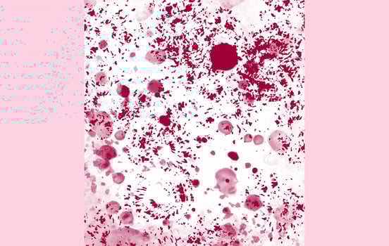 Red Paint Splashes and Drops Abstract Texture vector