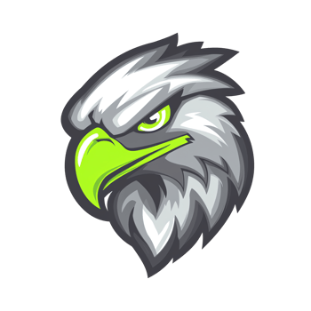 Aggressive eagle head graphic on transparent background png