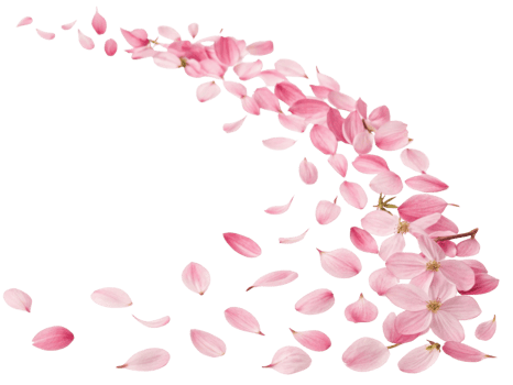 Delicate heather flowers scatter gracefully, creating beautiful display of pink petals that evoke sense of tranquility and nature charm png
