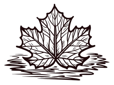 Maple leaf with reflective water surface pattern vector