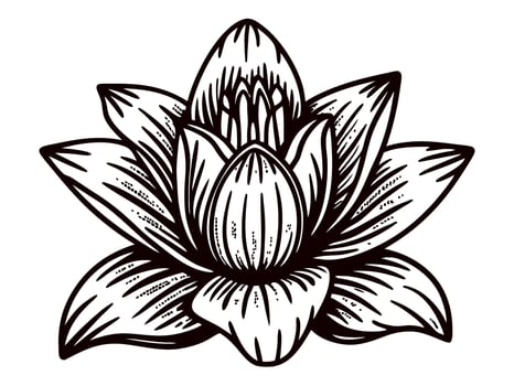 Detailed lotus flower with intricate linework displaying botanical elegance vector