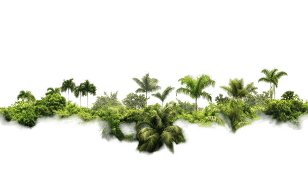 Lush tropical foliage landscape vista in a digital image. png