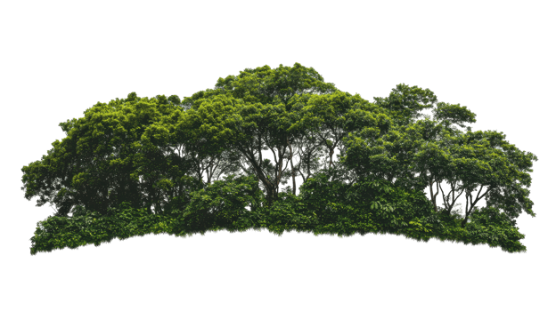 Lush forest canopy with colorful horizontal lines. png