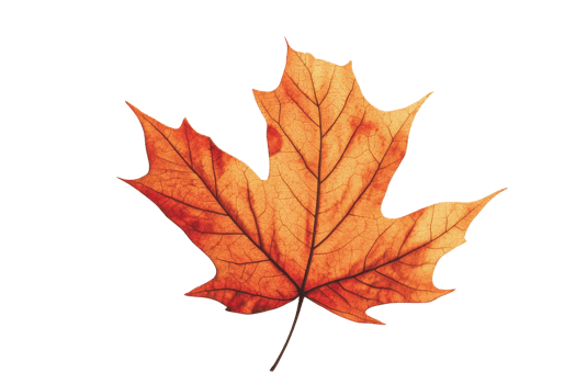 Autumnal leaf with abstract geometric background. png