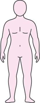 Human body outline illustration with simple pink skin tone and minimalistic style in frontal view for anatomy education and design uses vector