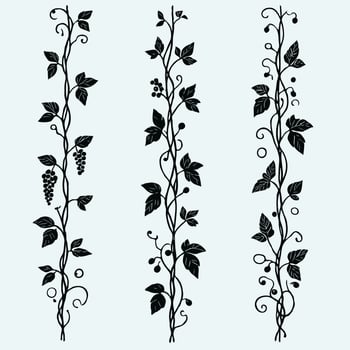 Black silhouettes of grapes and leaves.Set of vineyard design elements. Black and white illustration. Artistic grapevines, perfect for packaging, labels, book illustrations, and decorative projects. vector