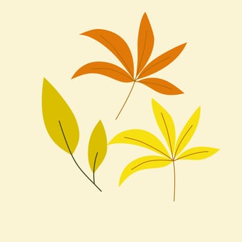 autumn leaves collection vector