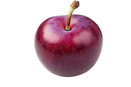 Close up of a single deep purple plum. png