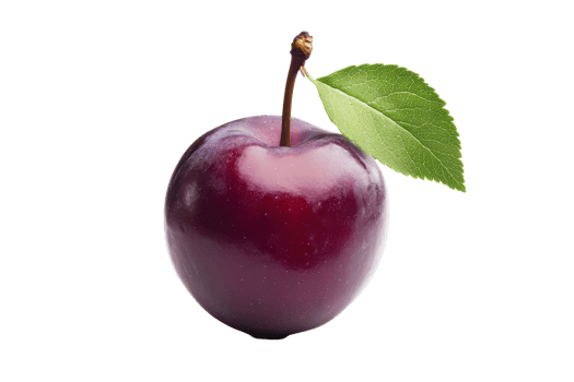 Close-up view of a single dark purple plum with a leaf. png