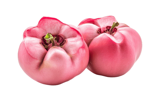 Close up view of two vibrant pink fruits. png