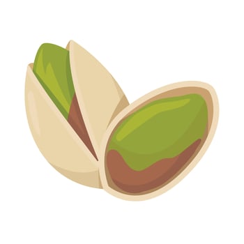 pistachio nuts in cartoon style. vector