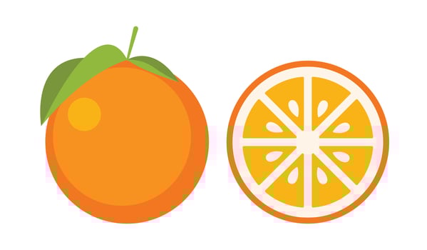 Flat orange fruit icon with vibrant color vector