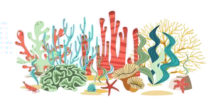 Flat Design Coral and Seaweed Composition on White Background. Minimalist Marine Illustration for Prints, Stickers and Wall Art. vector