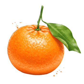Close up view of a single orange fruit with a green leaf and stem on a plain background space on transparent background png