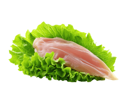 Chicken breast on crisp lettuce for a healthy meal png
