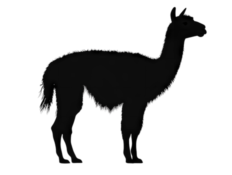 llama silhouette on transparent background png