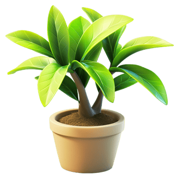 Small green plant in a pot on white background display png