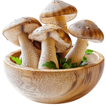 Bowl of assorted brown mushrooms on a white surface png