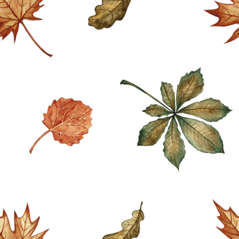 Seamless pattern with different autumn leaves. Handmade watercolor illustration. Color image. Great for packaging, decor, textiles and wallpaper, for printing and wrapping paper. png
