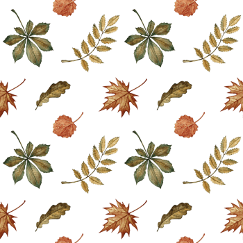 Seamless pattern with different autumn leaves. Handmade watercolor illustration. Color image. Great for packaging, decor, textiles and wallpaper, for printing and wrapping paper png