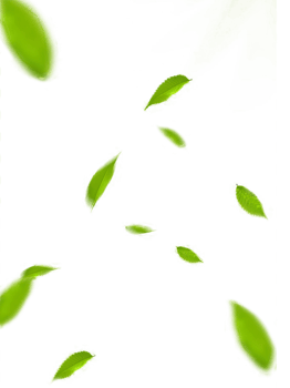 Falling Green Leaves on Transparent Background png