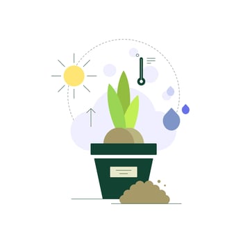 Plant growing. Seedling in pot. Sunlight and watering. Growing conditions vector