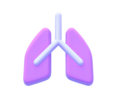 Human lungs organ 3D render icon. Represents respiratory system, breathing, pulmonology, or lung health. Isolated transparent graphic anatomy model. png