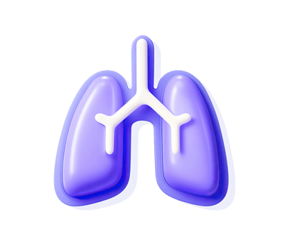 Human lungs anatomy 3D render icon. Detailed respiratory organ model for medical or educational use. Isolated transparent graphic science illustration. png