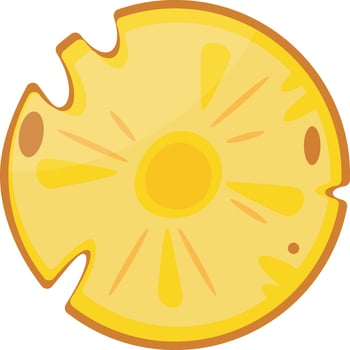 Pineapple Fruit Slice vector